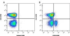 Anti Human CD56 Antibody, clone 123C3 gallery image 1