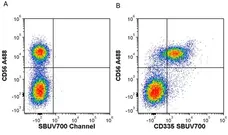 Anti Human CD56 Antibody, clone 123C3 gallery image 10