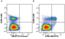 Anti Human CD56 Antibody, clone 123C3 gallery image 11