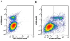 Anti Human CD56 Antibody, clone 123C3 gallery image 13