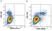 Anti Human CD56 Antibody, clone 123C3 thumbnail image 14