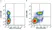 Anti Human CD56 Antibody, clone 123C3 thumbnail image 9
