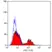 Anti Human CD56 Antibody, clone MEM-188 thumbnail image 1