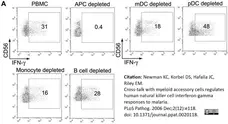 Anti Human CD56 Antibody, clone MEM-188 gallery image 6