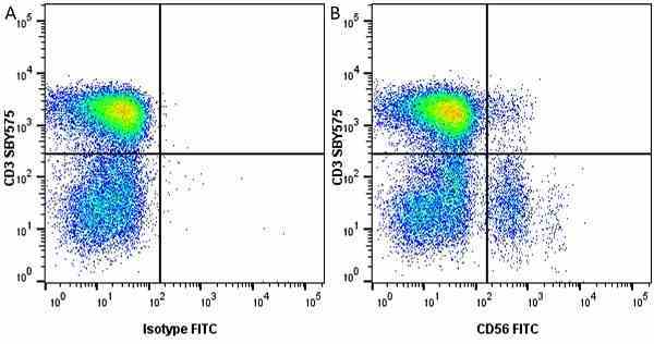Anti Human CD56 Antibody, clone MEM-188 gallery image 7