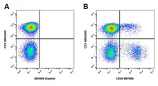 Mouse Anti Human NCAM (CD56) Antibody, clone rAB03-1H8 gallery image 10