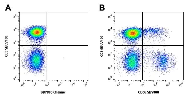 Mouse Anti Human NCAM (CD56) Antibody, clone rAB03-1H8 gallery image 10