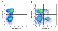 Mouse Anti Human NCAM (CD56) Antibody, clone rAB03-1H8 gallery image 2