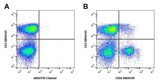 Mouse Anti Human NCAM (CD56) Antibody, clone rAB03-1H8 gallery image 2