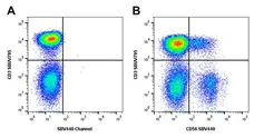 Mouse Anti Human NCAM (CD56) Antibody, clone rAB03-1H8 gallery image 3