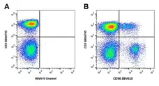 Mouse Anti Human NCAM (CD56) Antibody, clone rAB03-1H8 gallery image 5