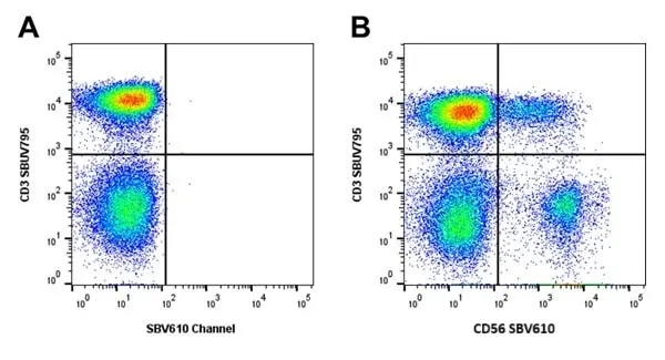 Mouse Anti Human NCAM (CD56) Antibody, clone rAB03-1H8 gallery image 5