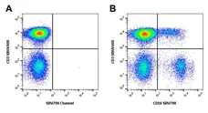 Mouse Anti Human NCAM (CD56) Antibody, clone rAB03-1H8 gallery image 6