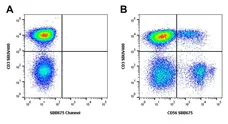 Mouse Anti Human NCAM (CD56) Antibody, clone rAB03-1H8 gallery image 8