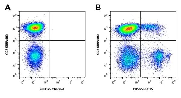 Mouse Anti Human NCAM (CD56) Antibody, clone rAB03-1H8 gallery image 8