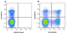 Anti Human CD57 Antibody, clone rTB01 gallery image 1