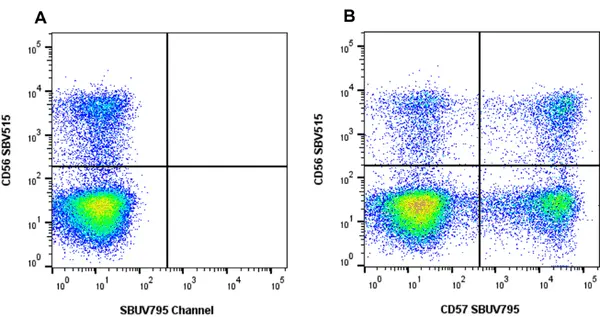 Anti Human CD57 Antibody, clone rTB01 gallery image 2