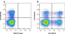 Anti Human CD57 Antibody, clone rTB01 gallery image 4