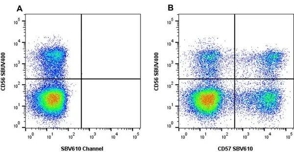 Anti Human CD57 Antibody, clone rTB01 gallery image 4