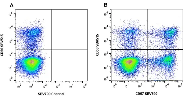 Anti Human CD57 Antibody, clone rTB01 gallery image 5