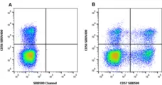 Anti Human CD57 Antibody, clone rTB01 gallery image 6