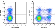 Anti Human CD57 Antibody, clone rTB01 gallery image 8