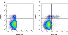 Anti Human CD57 Antibody, clone TB01 | Bio-Rad