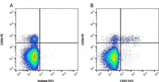 Anti Human CD57 Antibody, clone TB01 gallery image 1