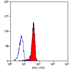 Anti Human CD58 Antibody, clone MEM-63 gallery image 1