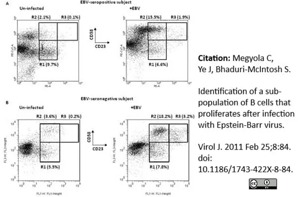 Anti Human CD58 Antibody, clone MEM-63 gallery image 3