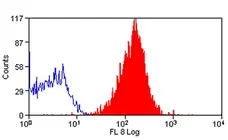 Anti Human CD58 Antibody, clone MEM-63 gallery image 7