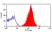 Anti Human CD58 Antibody, clone MEM-63 thumbnail image 7