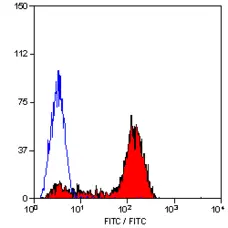 Anti Human CD6 Antibody, clone MEM-98 gallery image 2