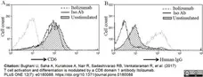 Anti Human CD6 Antibody, clone MEM-98 gallery image 3