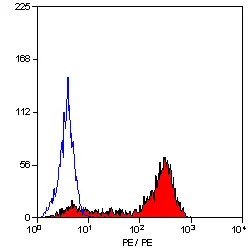 Anti Human CD6 Antibody, clone MEM-98 gallery image 3