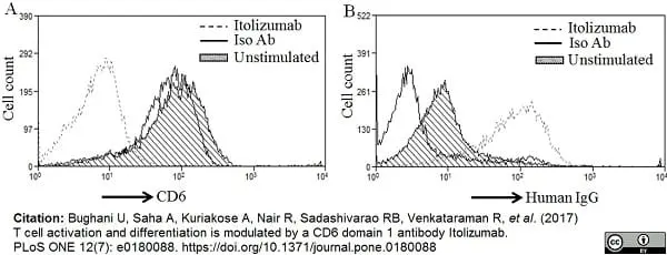 Anti Human CD6 Antibody, clone MEM-98 gallery image 4