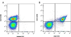 Anti Human CD61 Antibody, clone Y2/51 gallery image 1