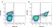 Anti Human CD61 Antibody, clone Y2/51 thumbnail image 1