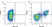 Anti Human CD61 Antibody, clone Y2/51 thumbnail image 2