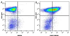 Anti Human CD61 Antibody, clone Y2/51 gallery image 5