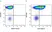 Anti Human CD61 Antibody, clone Y2/51 thumbnail image 8