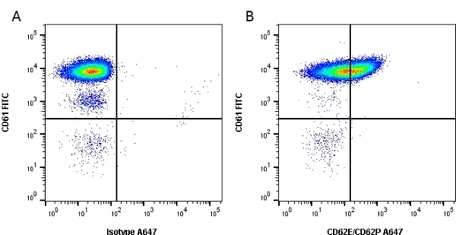 Anti Human CD62E/CD62P Antibody, clone 1.2B6 | Bio-Rad