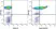 Anti Human CD62E/CD62P Antibody, clone 1.2B6 thumbnail image 2