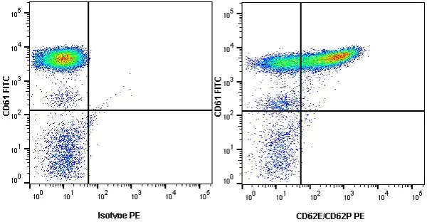Anti Human CD62E/CD62P Antibody, clone 1.2B6 gallery image 2