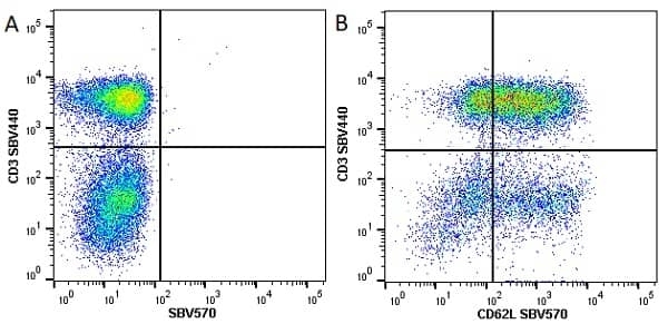 Anti Human CD62L Antibody, clone FMC46 thumbnail image 10