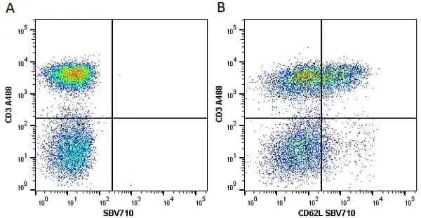 Anti Human CD62L Antibody, clone FMC46 gallery image 11