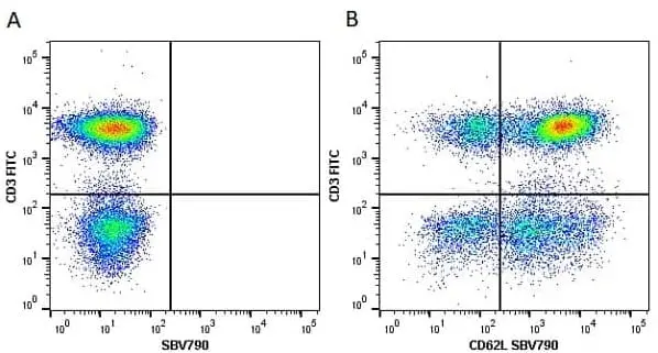 Anti Human CD62L Antibody, clone FMC46 gallery image 12