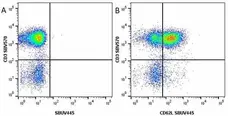 Anti Human CD62L Antibody, clone FMC46 gallery image 17