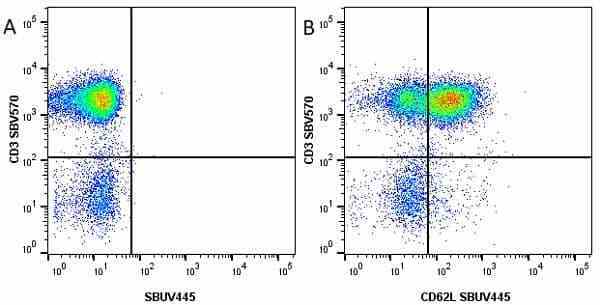 Anti Human CD62L Antibody, clone FMC46 gallery image 17
