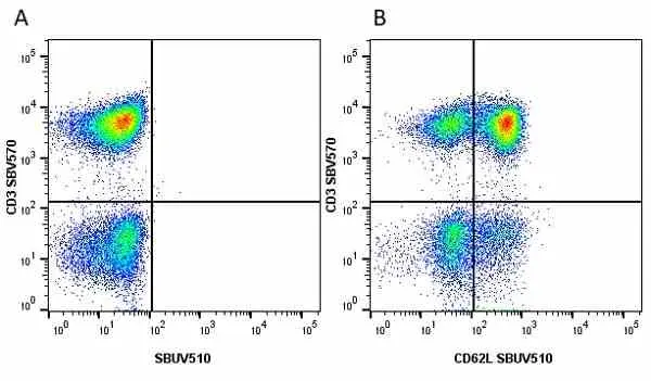 Anti Human CD62L Antibody, clone FMC46 gallery image 19
